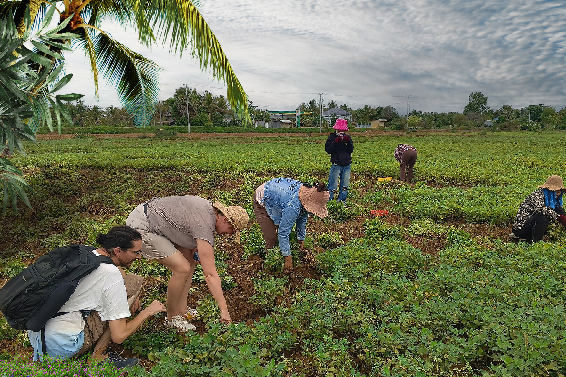 Sightseeing-Homestay in Battambang countryside