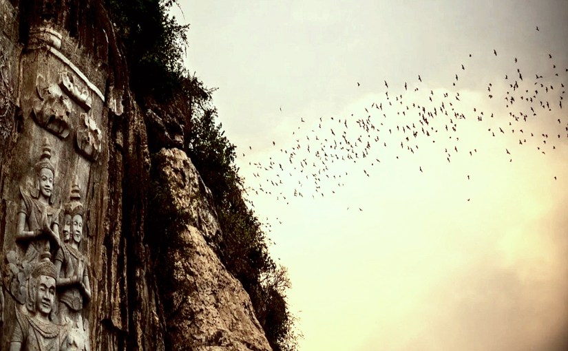 Afternoon Shared Tour